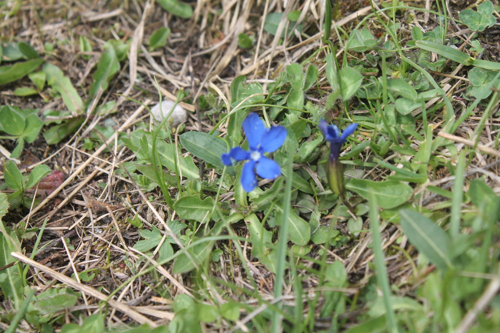 2018-06-05 17-49-54.JPG