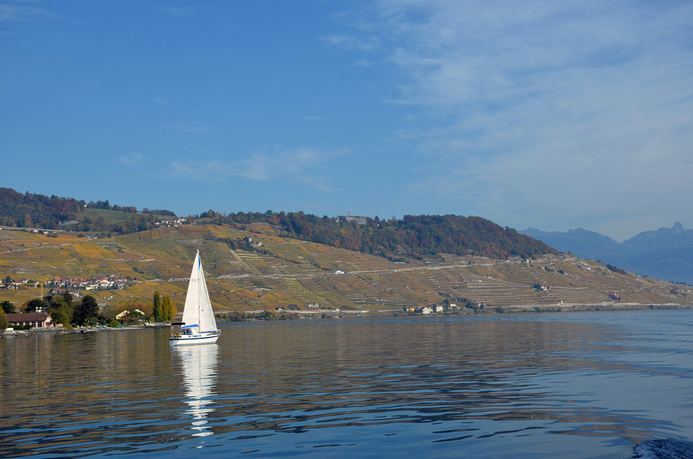 DSC_6483 — копия.JPG