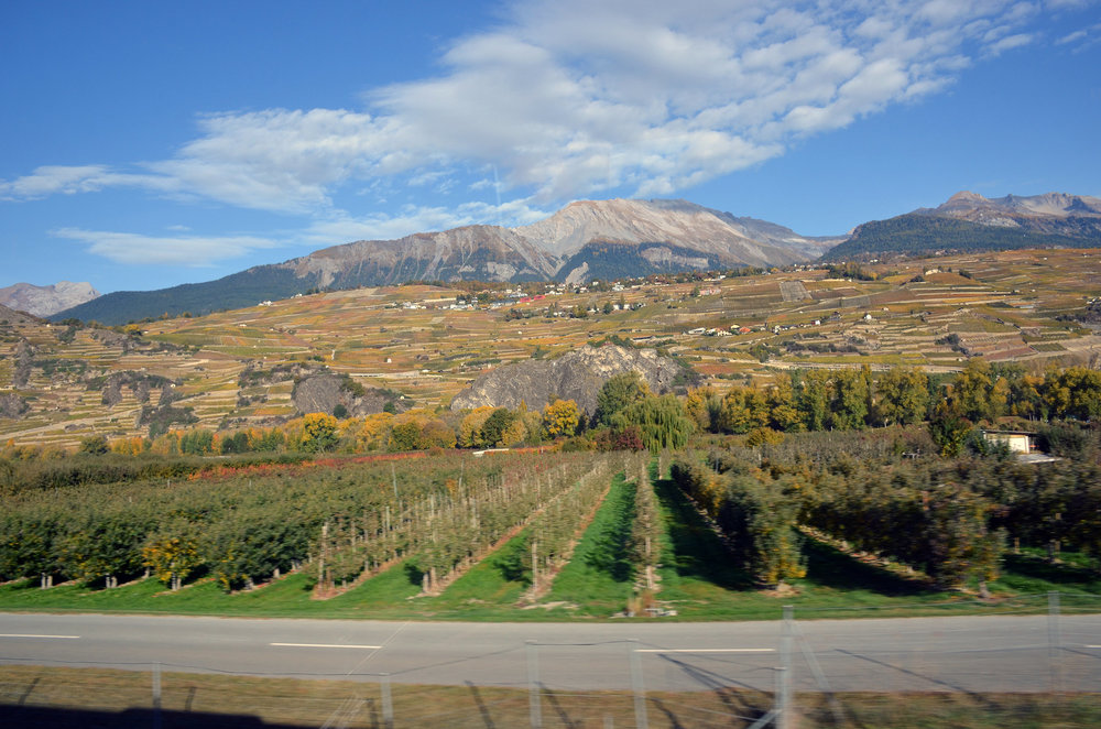 DSC_5842 — копия.JPG