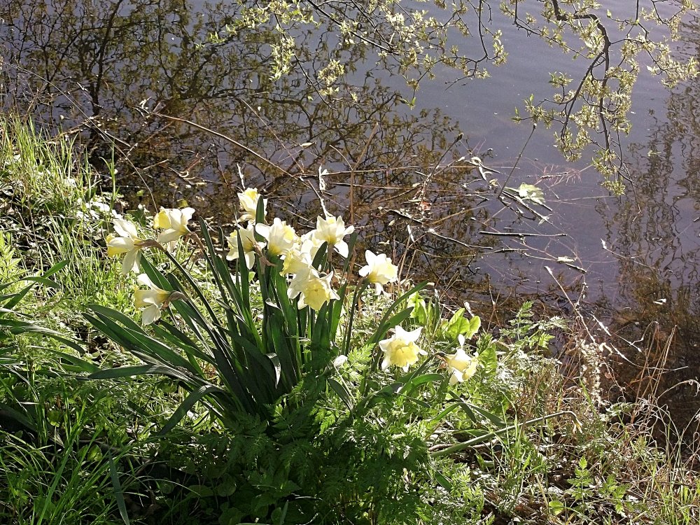 Сады и парки Скандинавии 1145_Fotor.jpg