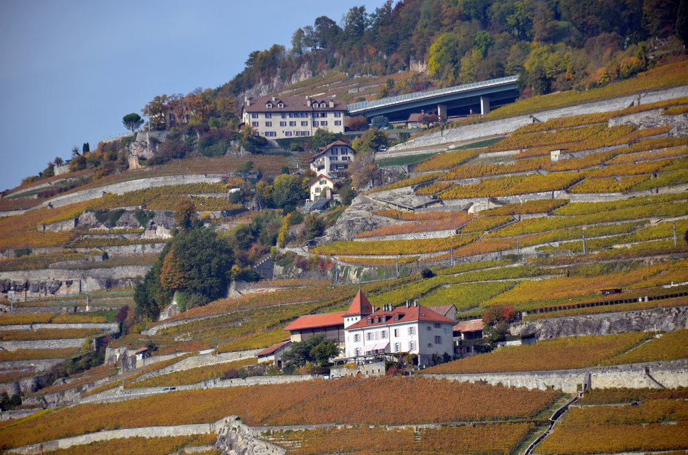 DSC_6337 — копия.JPG