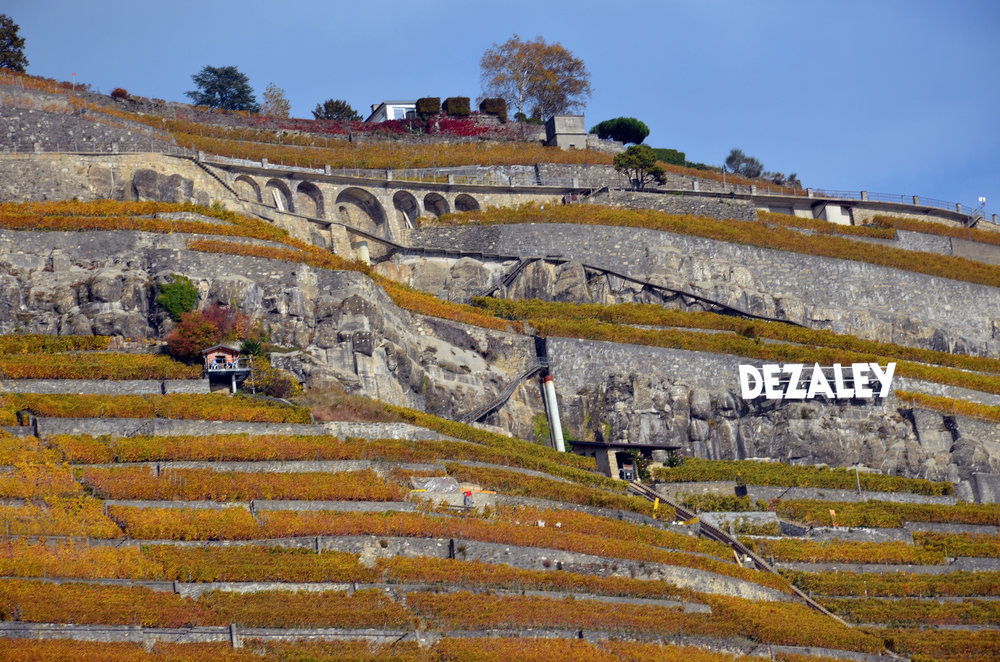 DSC_6424 — копия.JPG