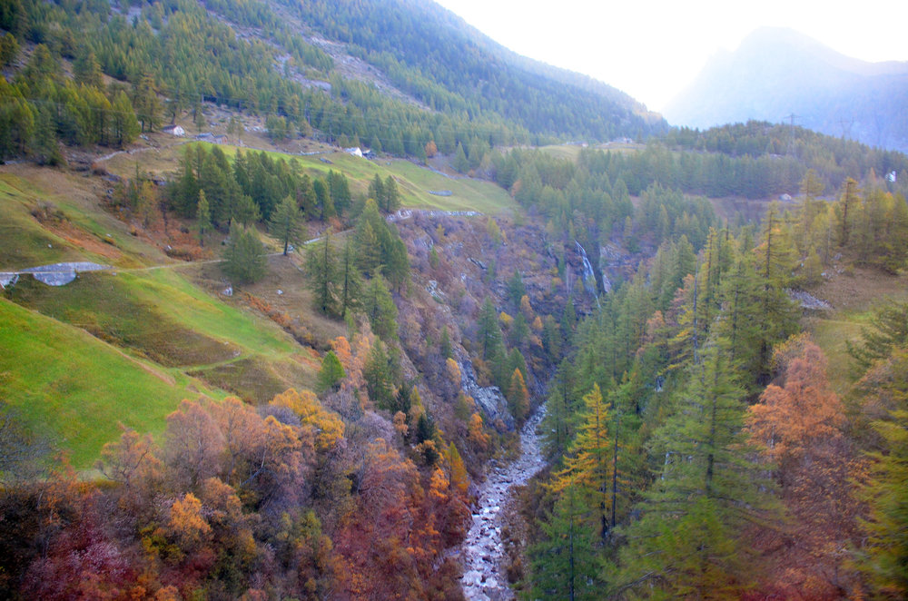 DSC_5407 — копия.JPG