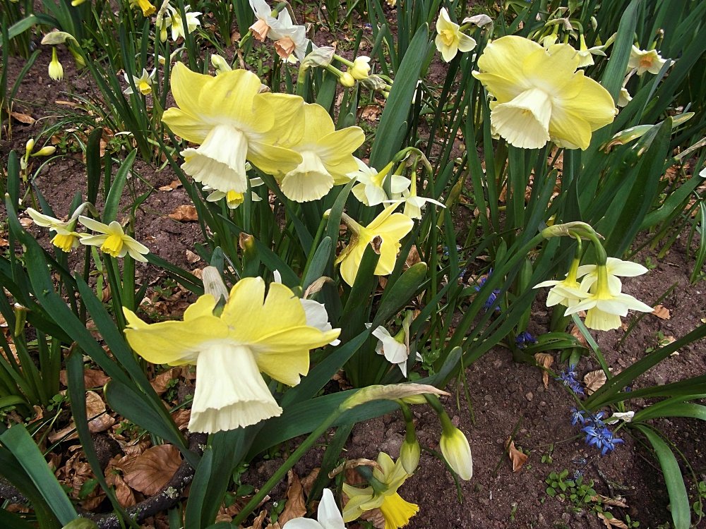 Сады и парки Скандинавии 919_Fotor.jpg