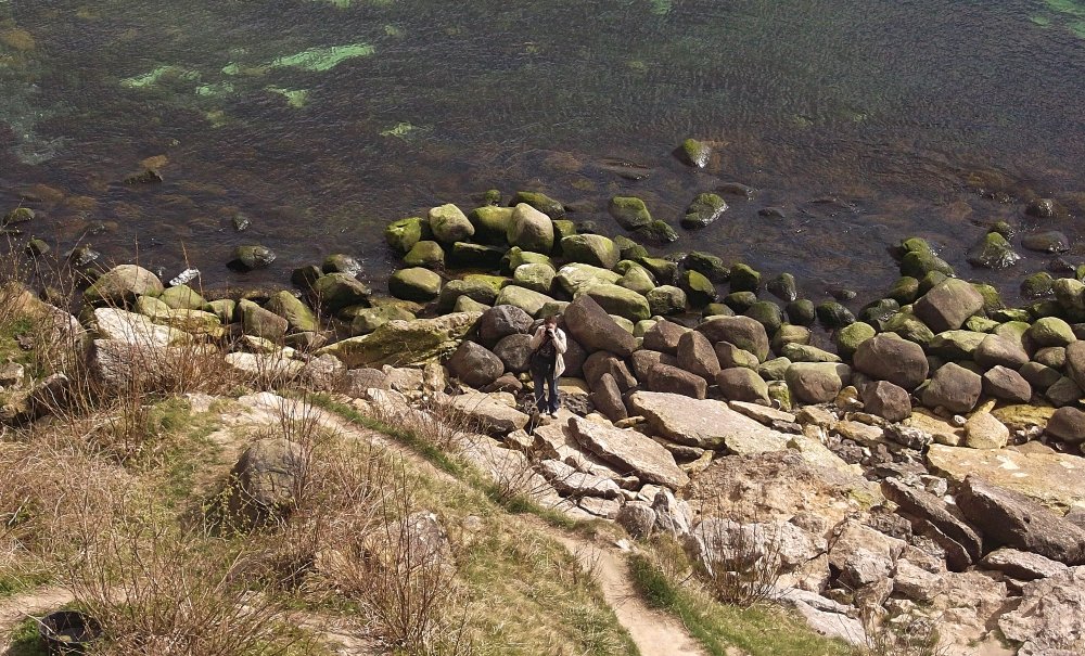 Сады и парки Скандинавии 1247_Fotor.jpg