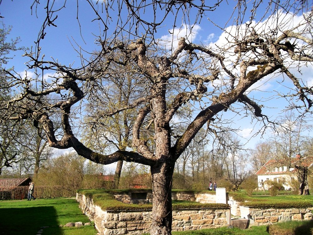 Сады и парки Скандинавии 755_Fotor.jpg