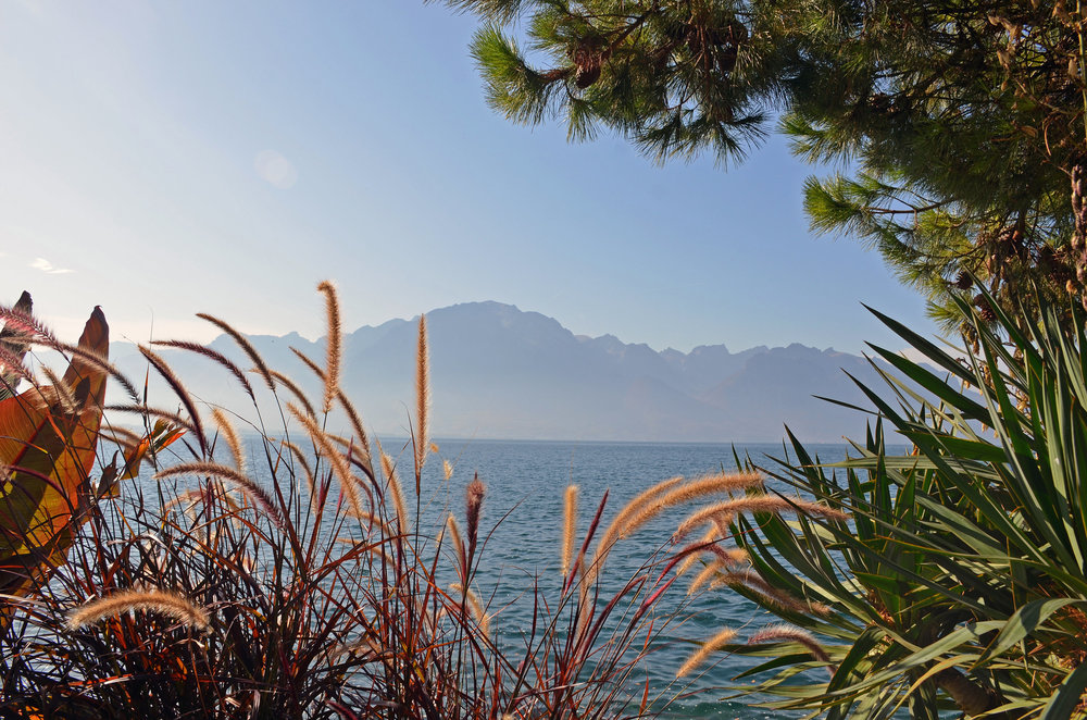 DSC_6131 — копия.JPG