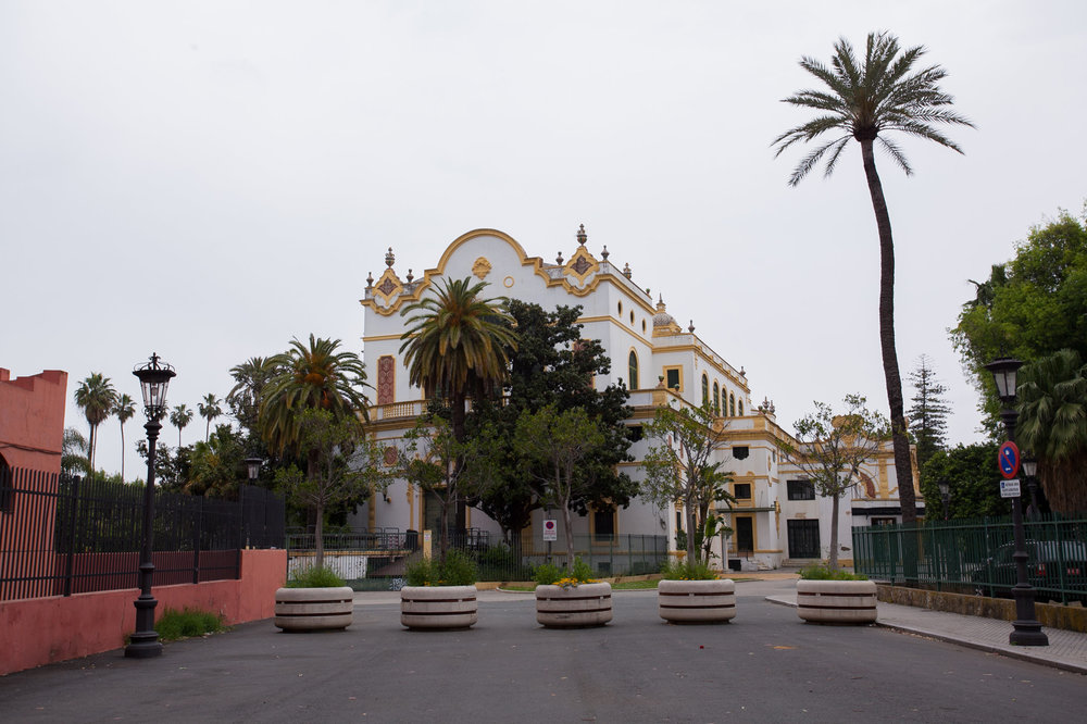 Севил 3.05-37.jpg