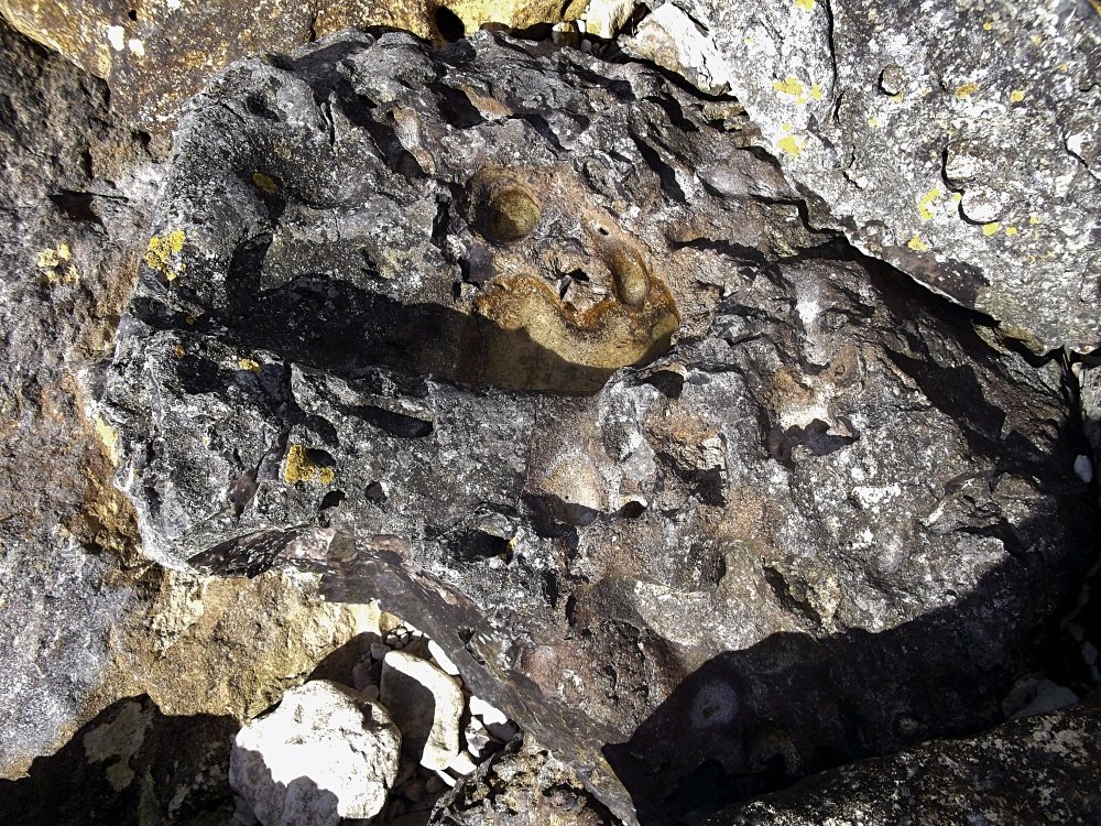 Сады и парки Скандинавии 1216_Fotor.jpg