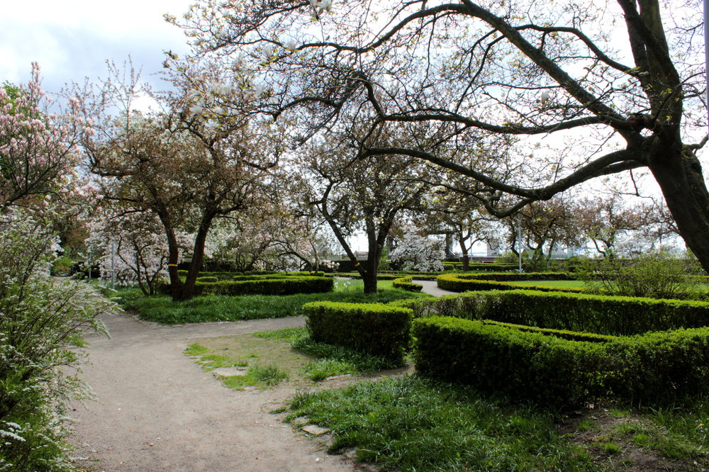 IMG_2702-2 хельс.jpg