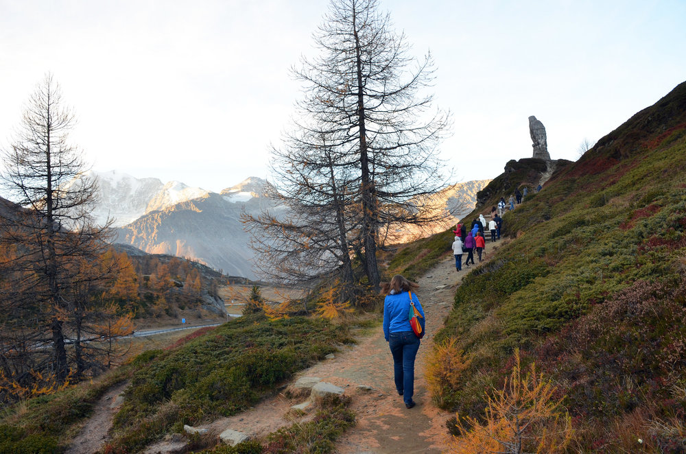 DSC_5462 — копия.JPG