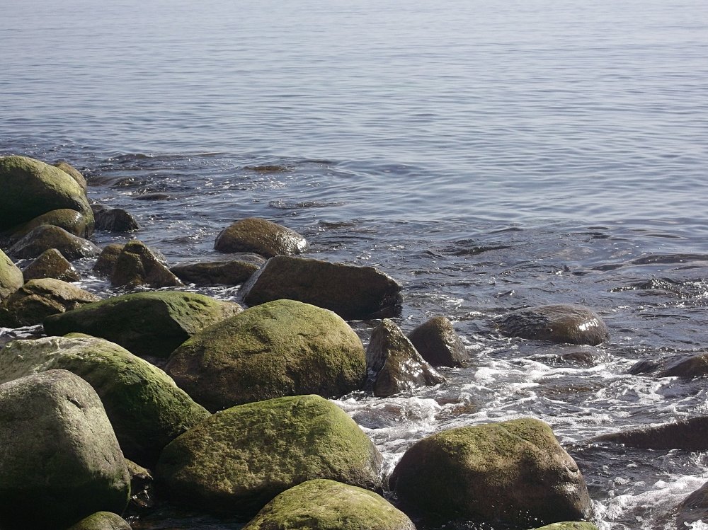 Сады и парки Скандинавии 1223_Fotor.jpg