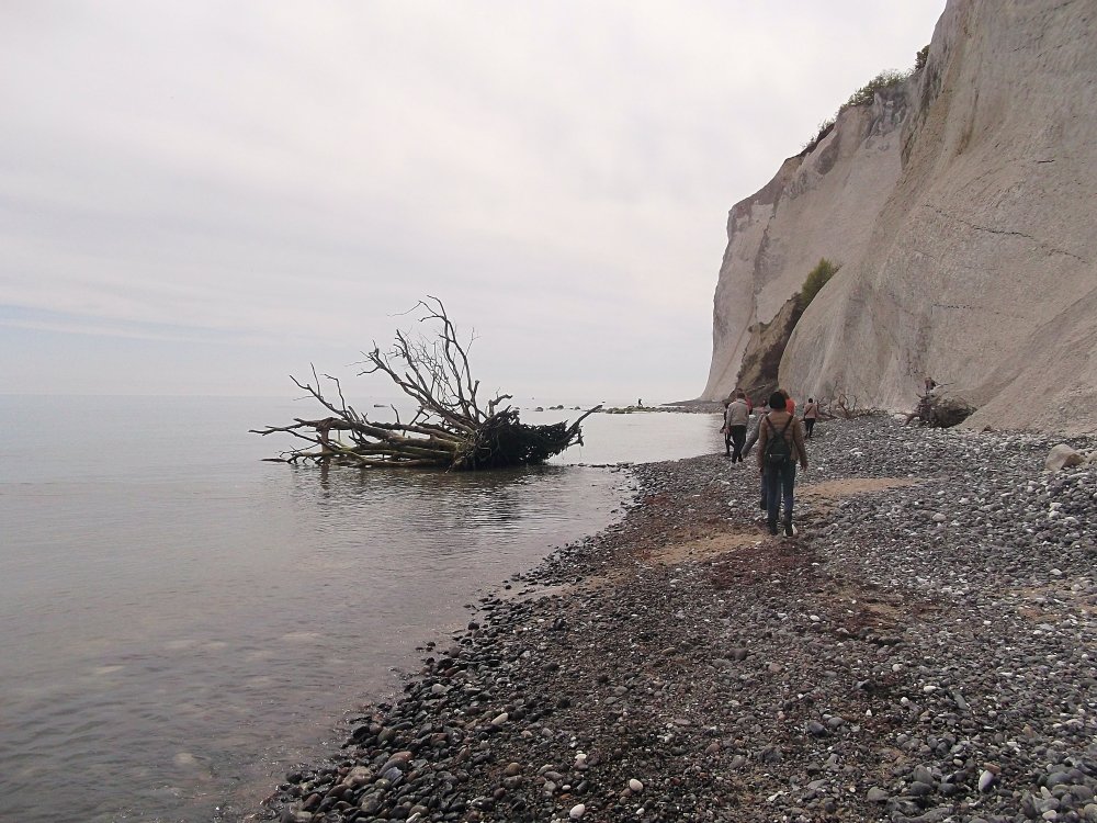 Сады и парки Скандинавии 1289_Fotor.jpg