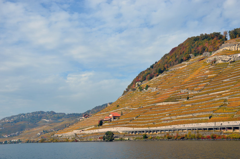 DSC_6417 — копия.JPG