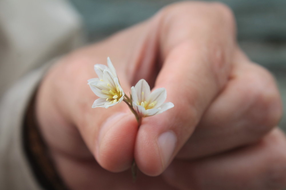 2018-06-05 17-56-28.JPG