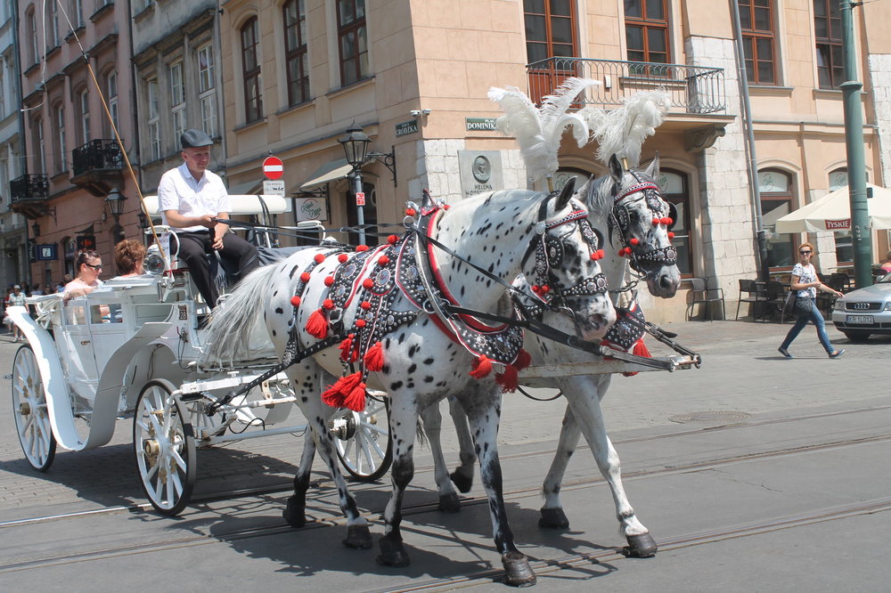 2018-06-08 13-18-50.JPG