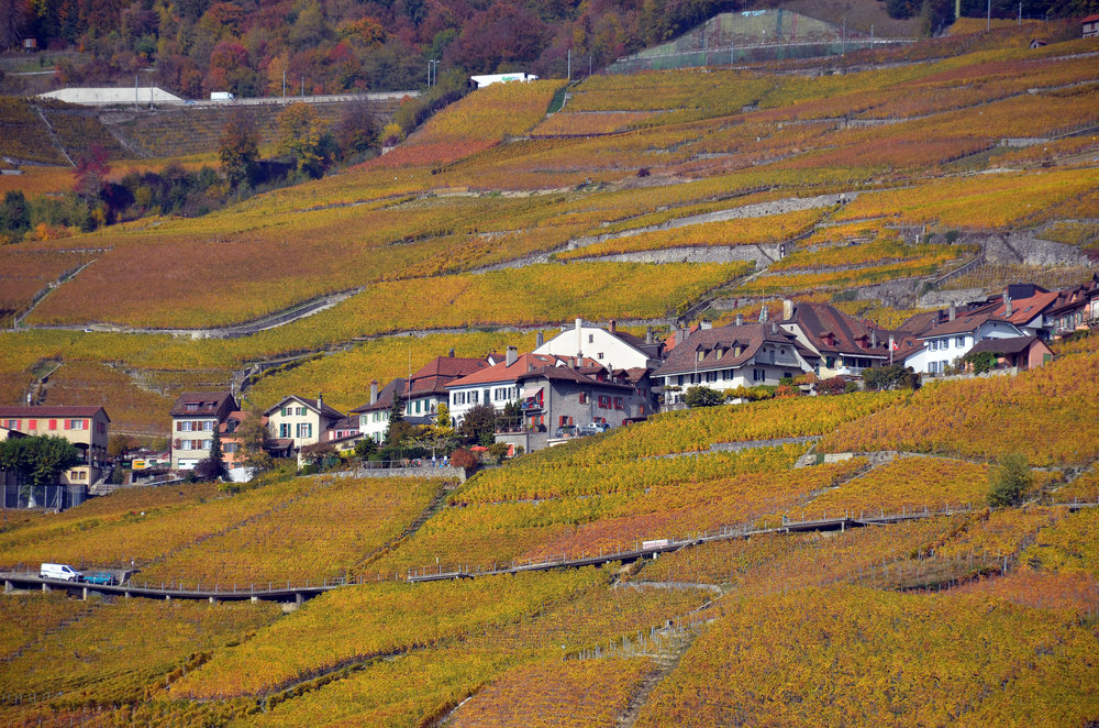 DSC_6435 — копия.JPG