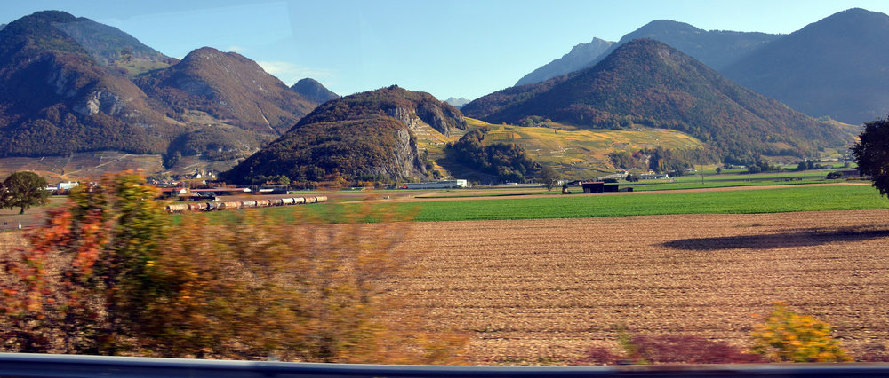 DSC_5973 — копия — копия.JPG