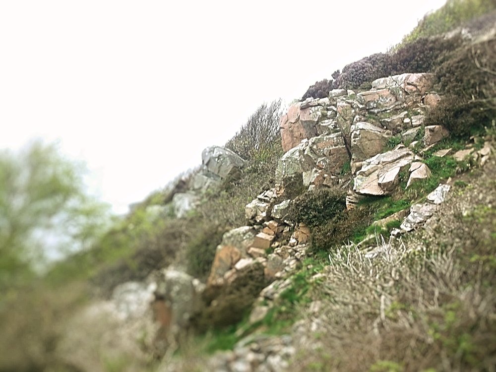 Сады и парки Скандинавии 885_Fotor.jpg