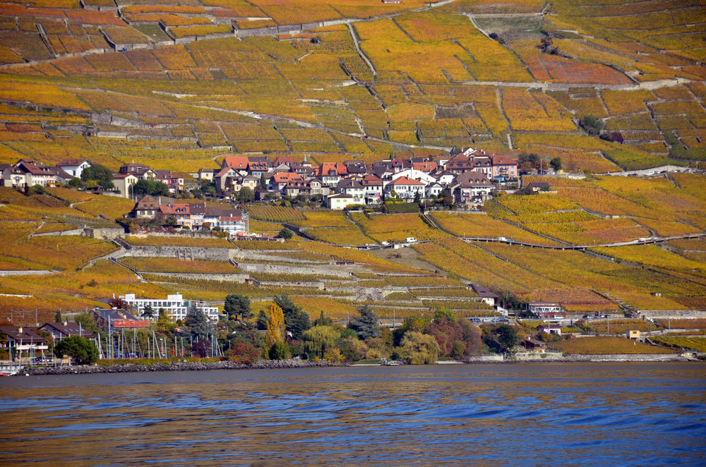 DSC_6474 — копия.JPG