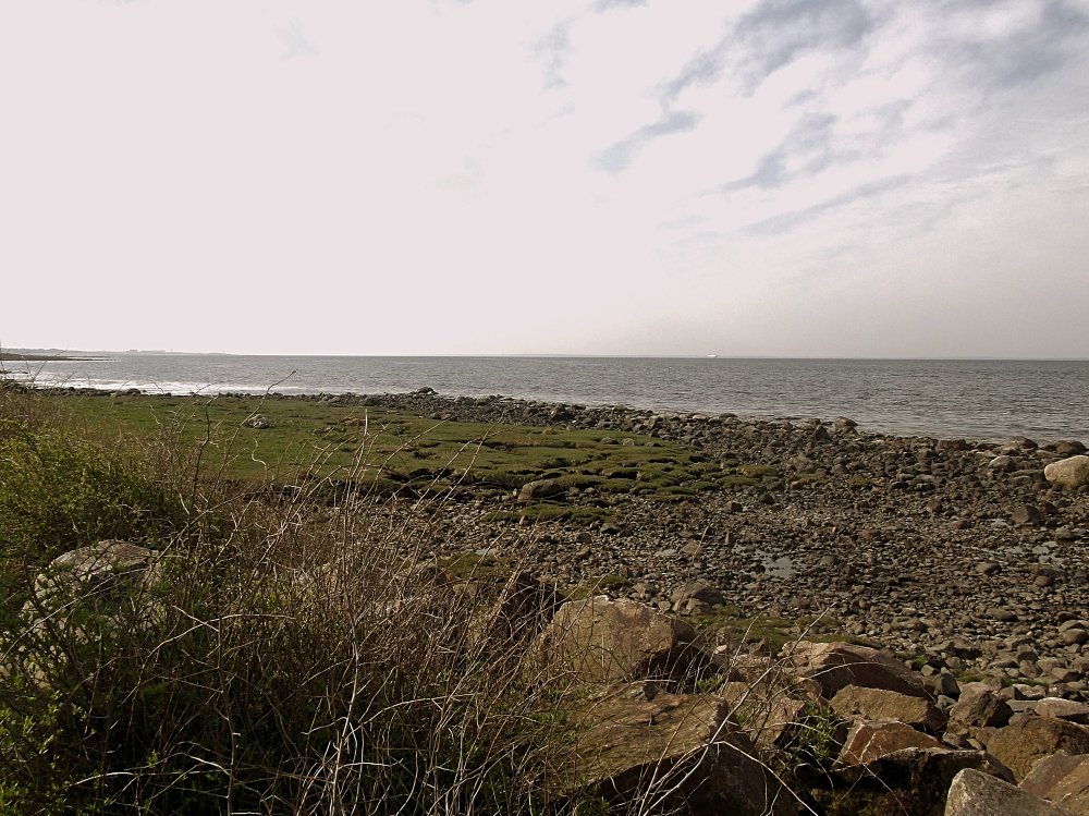 Сады и парки Скандинавии 805_Fotor.jpg