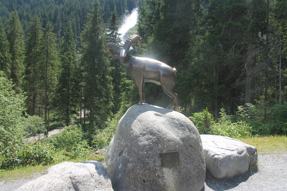 2018-06-05 13-41-38.JPG