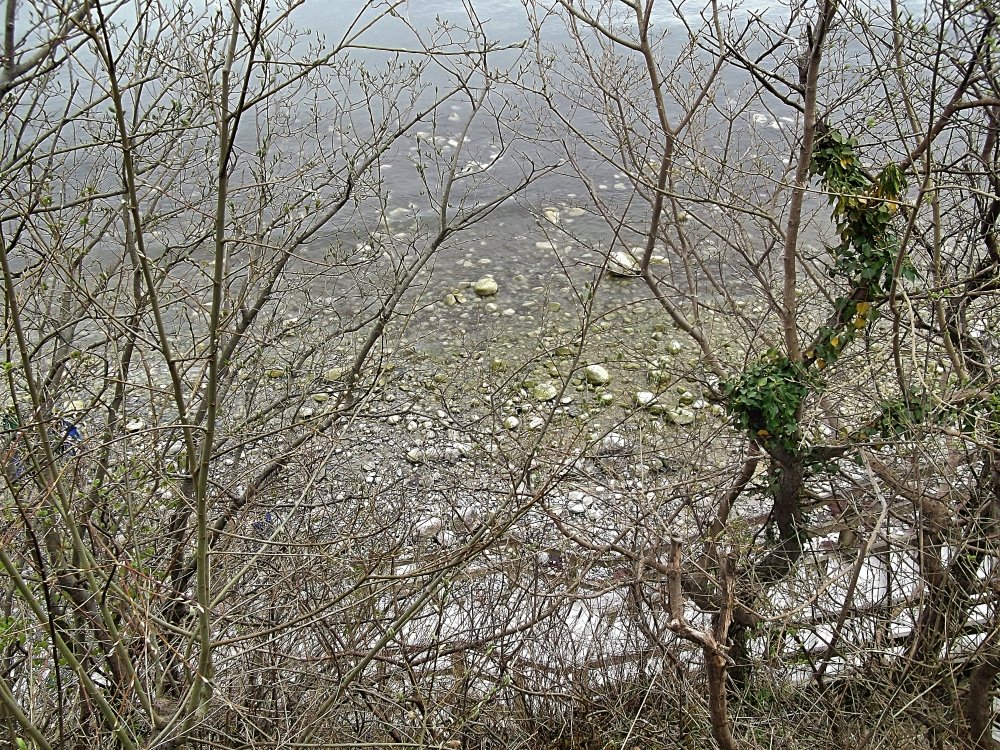 Сады и парки Скандинавии 1273_Fotor.jpg