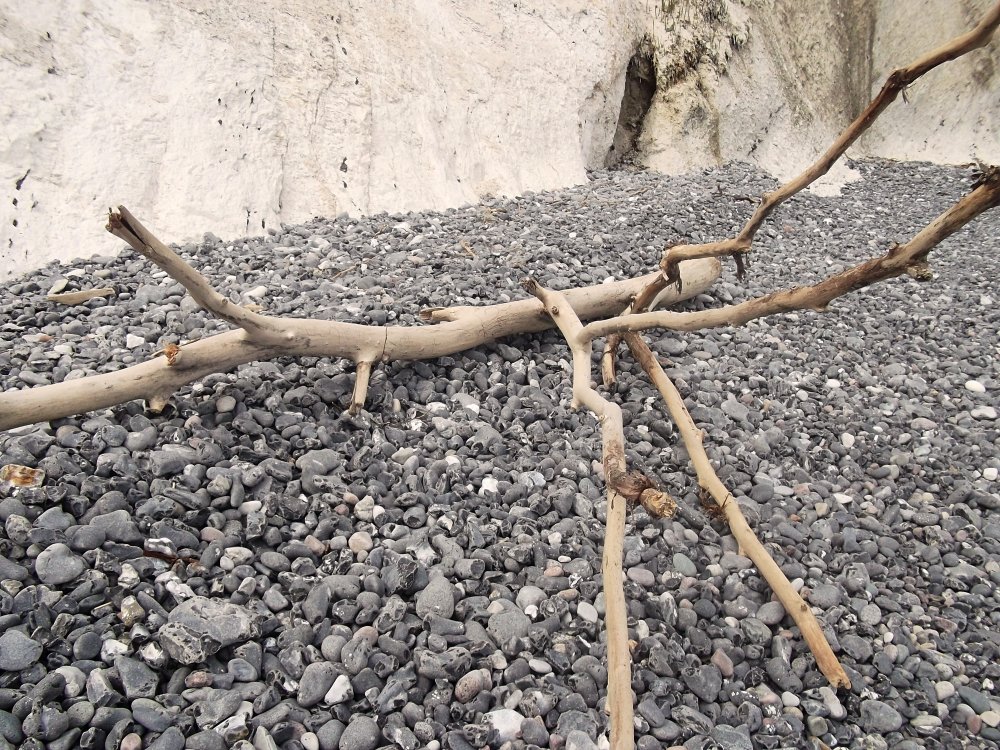 Сады и парки Скандинавии 1296_Fotor.jpg