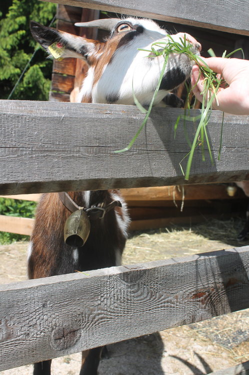 2018-06-05 12-47-52.JPG