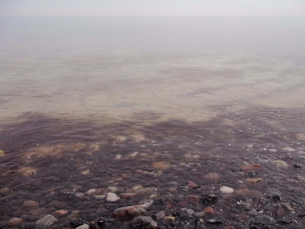 Сады и парки Скандинавии 1286_Fotor.jpg