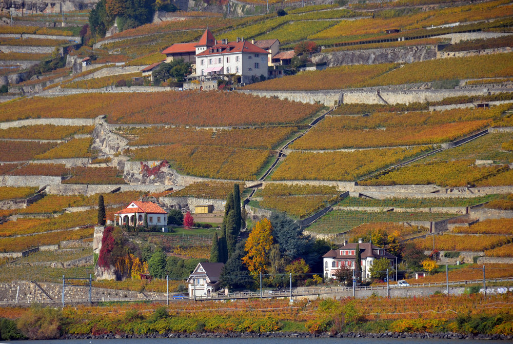 DSC_6335 — копия.JPG