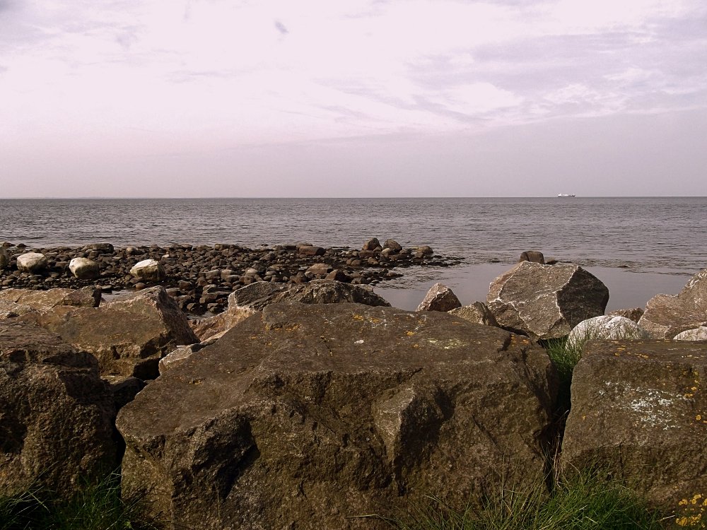 Сады и парки Скандинавии 804_Fotor.jpg