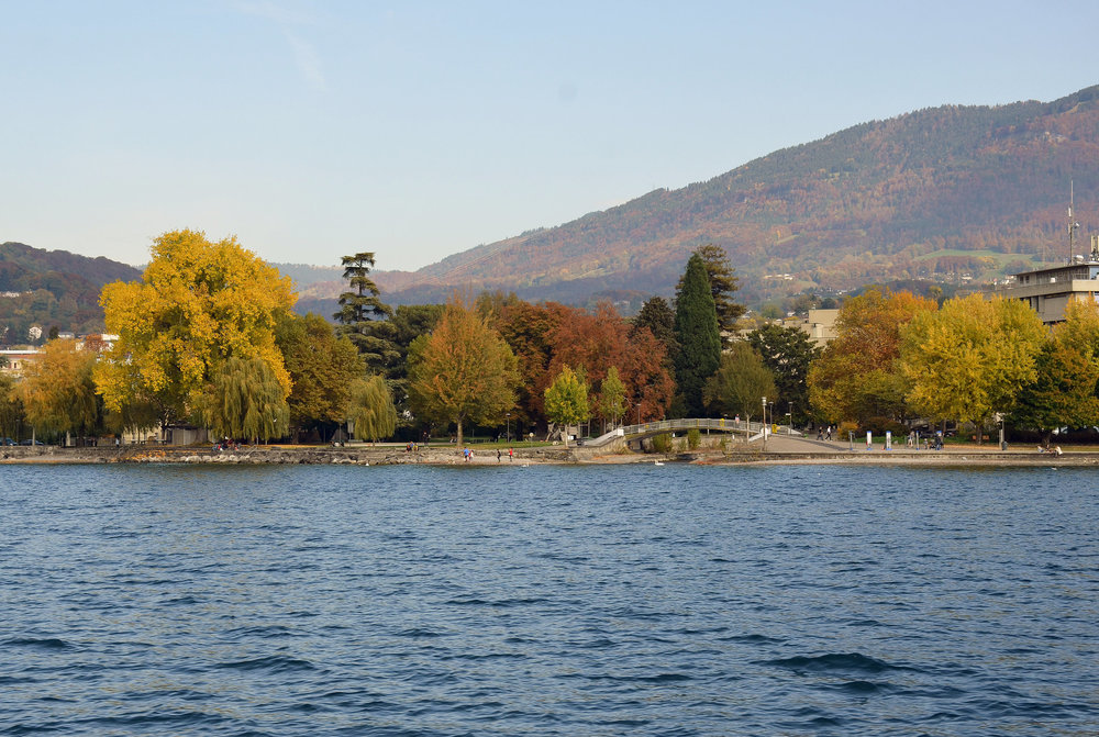 DSC_6304 — копия.JPG