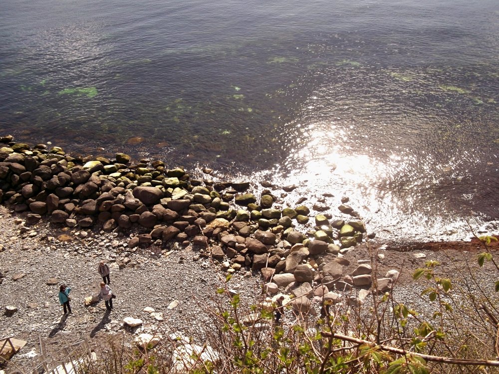 Сады и парки Скандинавии 1226_Fotor.jpg