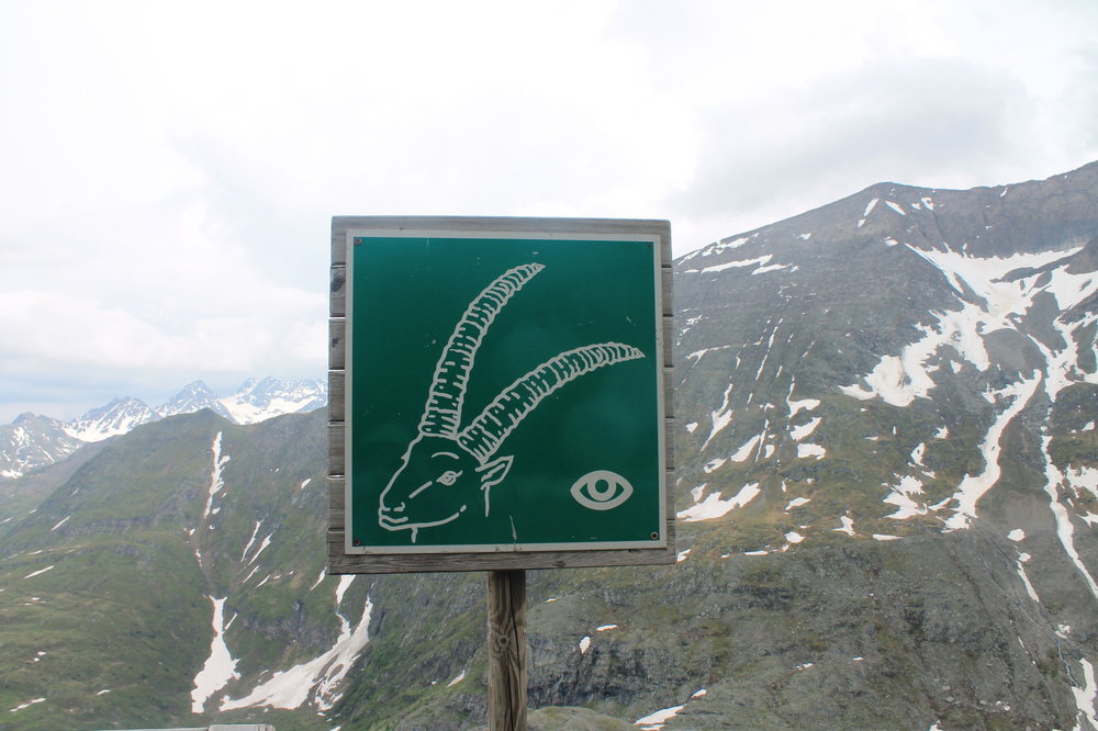 2018-06-05 18-19-12.JPG