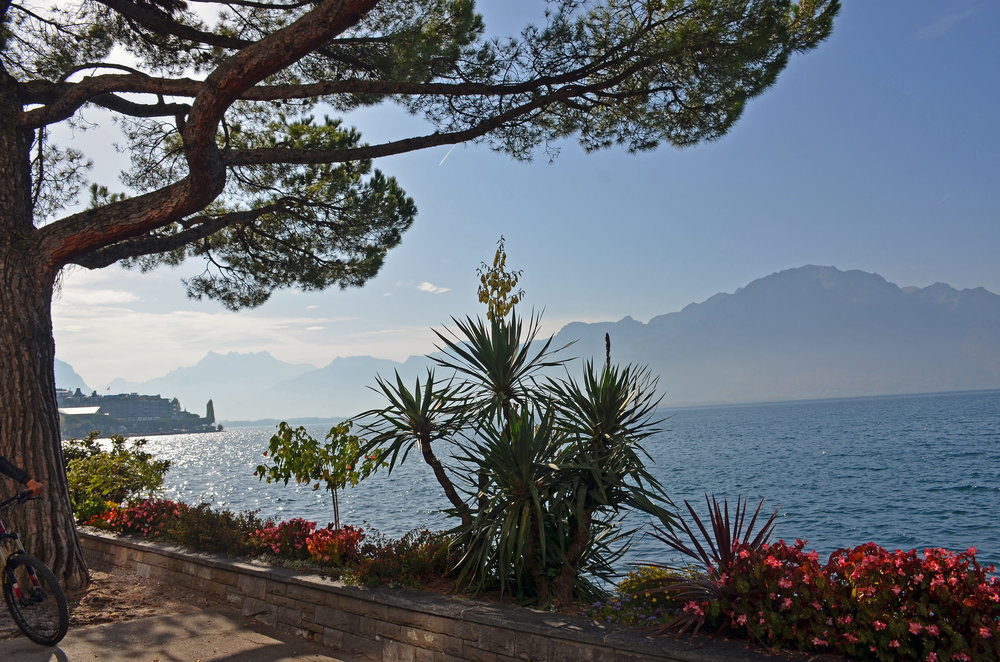 DSC_6128 — копия.JPG