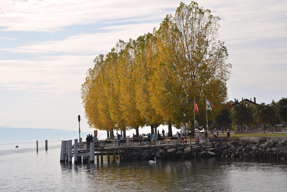 DSC_6453 — копия.JPG