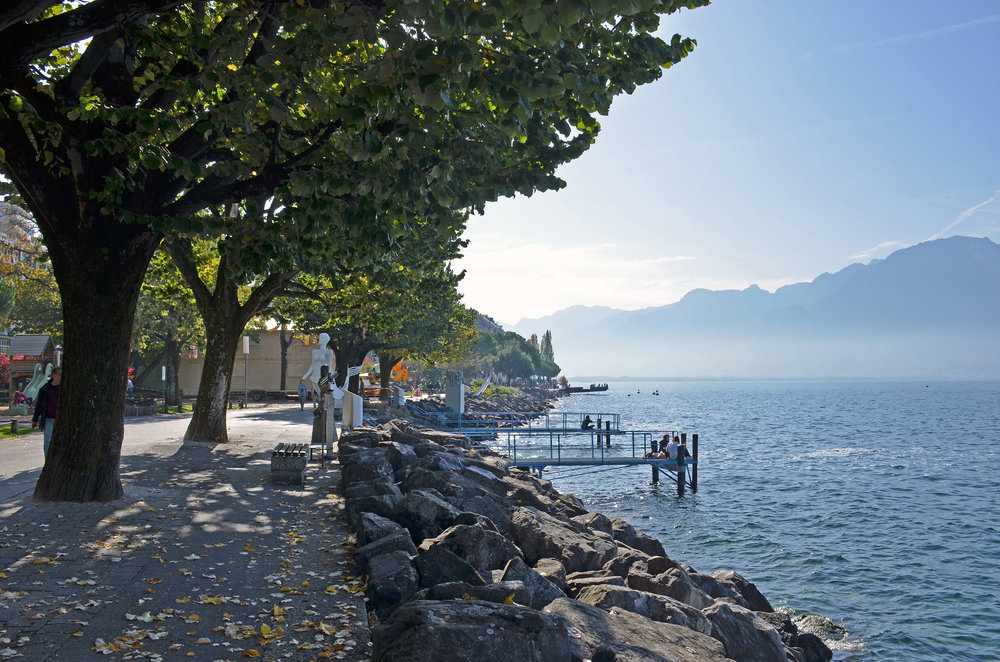 DSC_6167 — копия.JPG