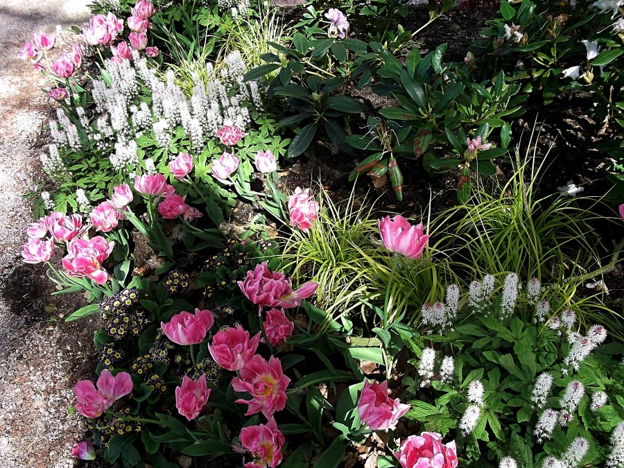 Сады и парки Скандинавии 1023_Fotor.jpg