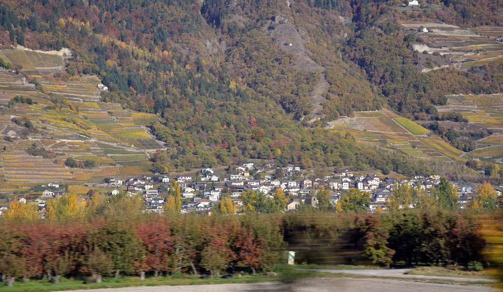 DSC_5935 — копия — копия.JPG