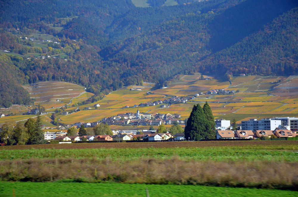 DSC_5984 — копия.JPG