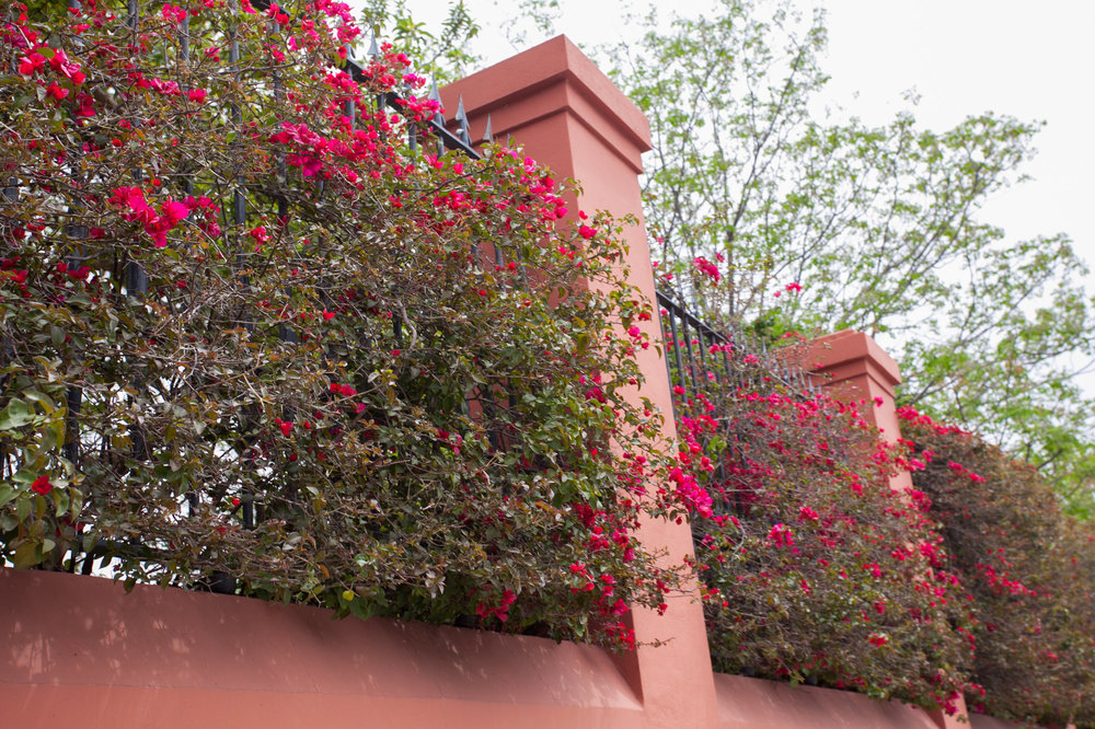 Севил 3.05-32.jpg