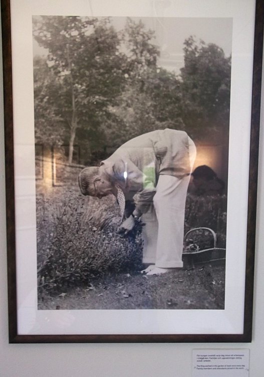 Сады и парки Скандинавии 1034_Fotor.jpg