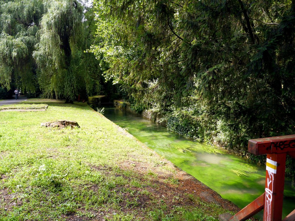 _1350891.JPG 2.jpg 2.jpg