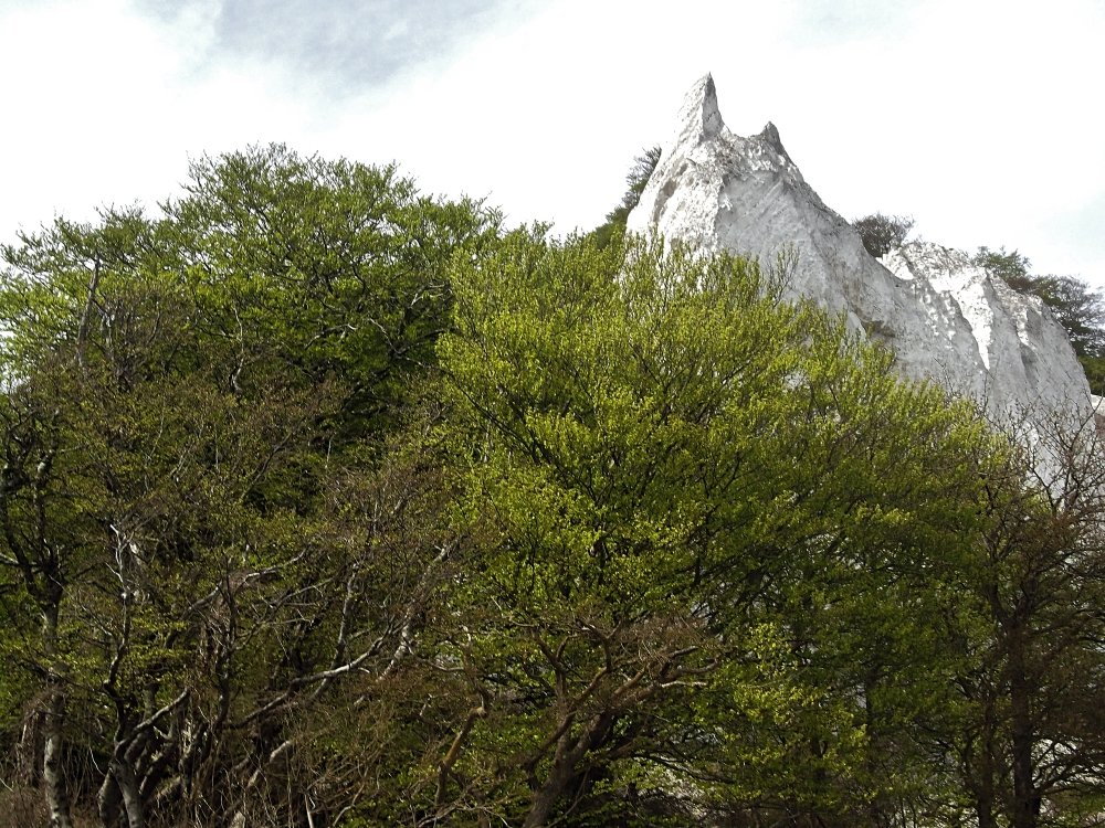 Сады и парки Скандинавии 1304_Fotor.jpg