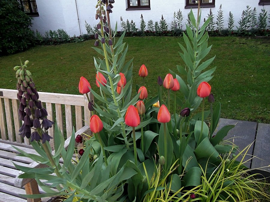 Сады и парки Скандинавии 1067_Fotor.jpg