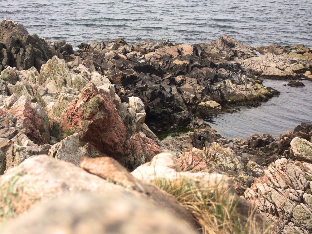 Сады и парки Скандинавии 869_Fotor.jpg