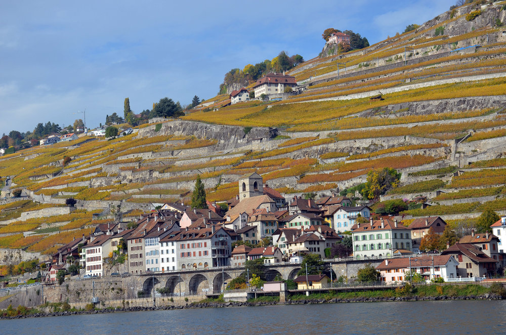 DSC_6354 — копия.JPG