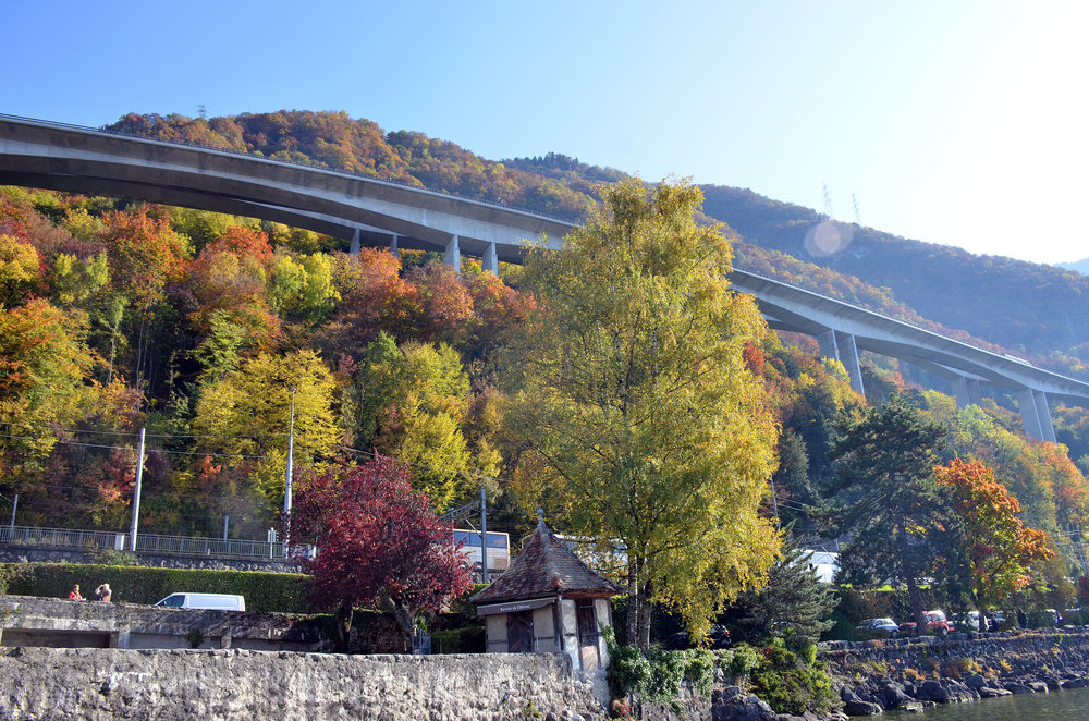 DSC_6082 — копия.JPG