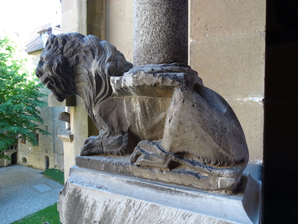DSC08071.JPG